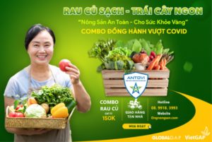 Nhóm Combo hỗ trợ mùa giãn cách xã hội cùng Antovi